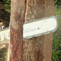 DONTODENT Nouvelle Chaîne De Tronçonneuse électrique 16 Pouces 29 Bits 59 Section