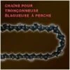 POWERGROUND Chaîne Proffessionnelle OREGON 10'', 25 Cm Pour Tronçonneuses élagueuses à Perche